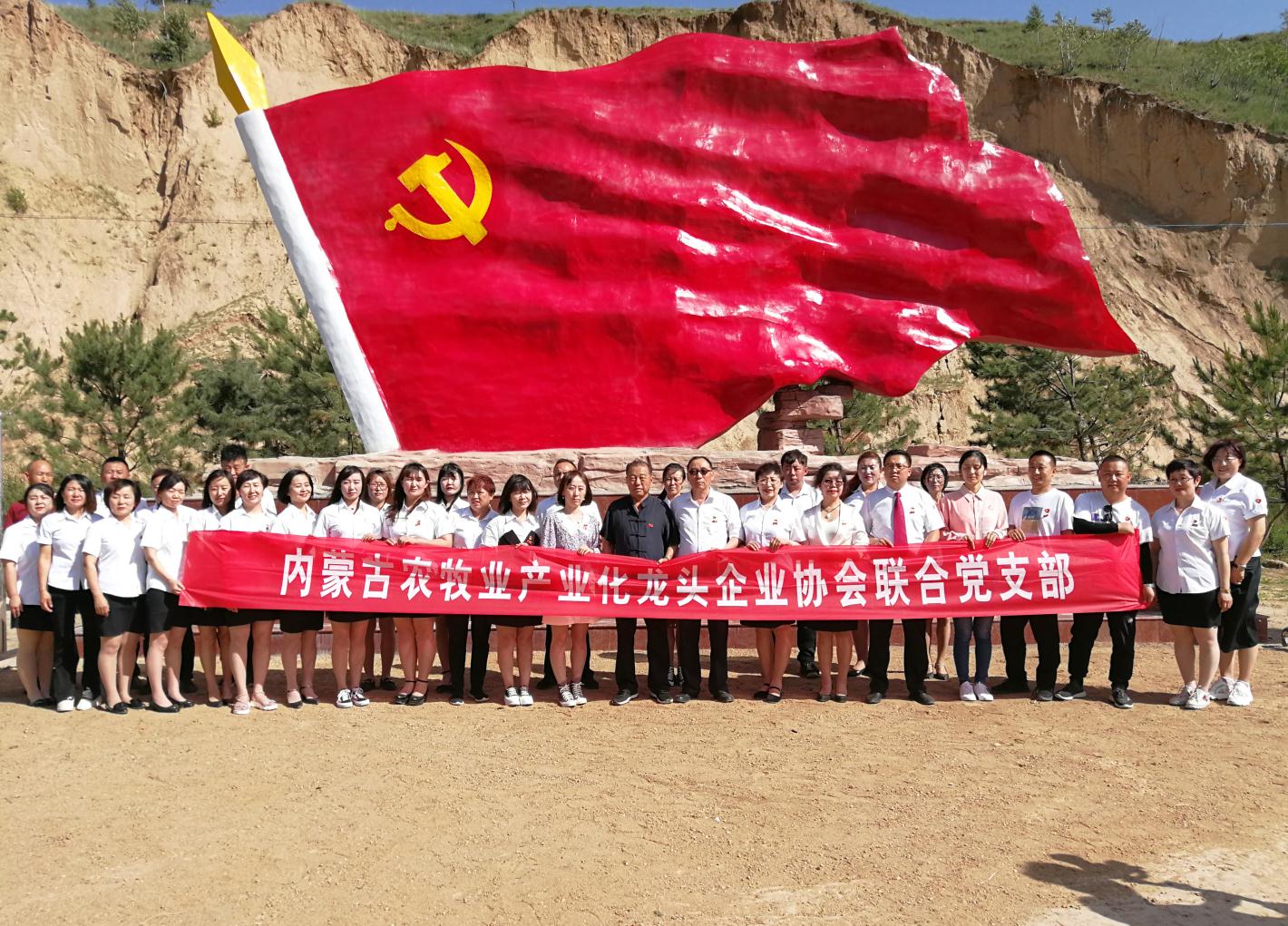 內(nèi)蒙古農(nóng)牧業(yè)產(chǎn)業(yè)化龍頭企業(yè)協(xié)會走進石人灣村開展“辦實事、解難題，送溫暖，傳黨恩”公益活動